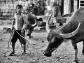 Indonesien_DSC8231.jpg