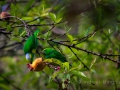 DSC_3421.jpg