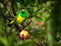 DSC_3433.jpg