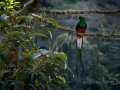 DSC_3462.jpg