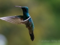 DSC_3547.jpg