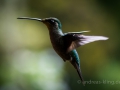 DSC_3555.jpg