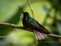 DSC_3591.jpg