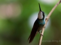 DSC_3596.jpg