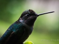 DSC_3614.jpg