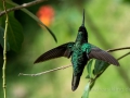 DSC_3625.jpg