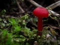 DSC_3671.jpg