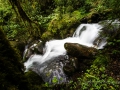 DSC_3731.jpg