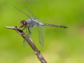 Indonesien__DSC4368_01-2_01