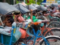 Indonesien__DSC3888-1_01