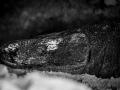 Indonesien_DSC7939.jpg