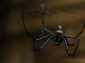 Indonesien__A713885_01