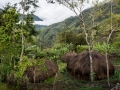 Indonesien__A713936